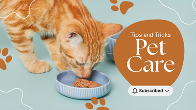 Nourish Your Pet, the Canadian Way 🇨🇦🍁