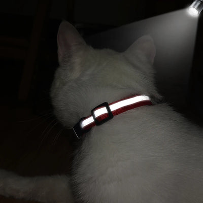 Customized Cat Collar Reflective Cat Collar Free Engraved Puppy Kitten Pet ID Nameplate Necklace With Bell Anti-lost For Cats